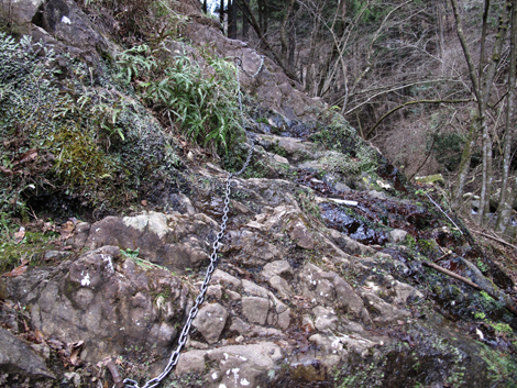 20170113hike (472)